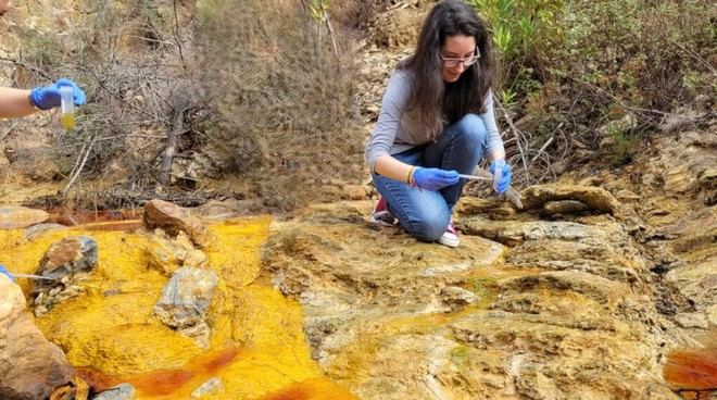 Demuestran propiedades antiinflamatorias de una microalga del río Tinto en Huelva