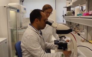 Investigadores de Jaén desarrollan biomasa a partir de microalgas en aguas de almazara