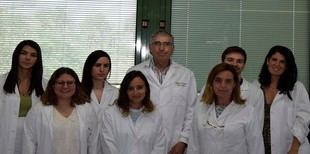 Desarrollan trigo resistente a la sequía y bajo en gluten en Andalucía