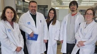 Investigadores de la UVigo trabajan en la durabilidad del hormigón con acero de memoria de forma
