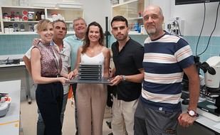 Estudian el impacto del aumento de temperaturas en especies marinas del Mediterráneo