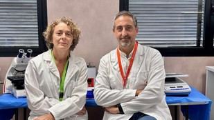 Estudio revela el impacto de una micotoxina en trastornos neurológicos