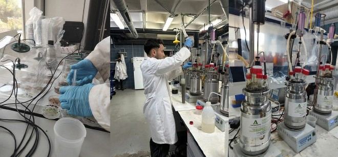 Investigadores de la UCA convierten residuos agroindustriales en energía y fertilizantes sostenibles