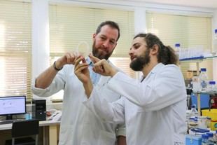 Investigadores de la ULE buscan fortalecer plantas contra bacterias usando residuos de té verde