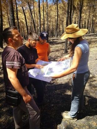 Investigadores de la Universidad de León identifican los factores detrás de los incendios récord de 2025 en España
