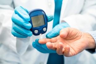 Desarrollan un innovador modelo animal para investigar la diabetes tipo 2 en la ULL