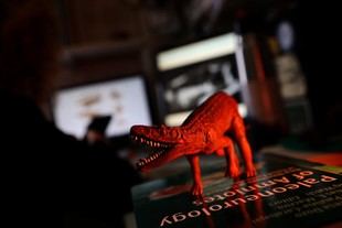Descubren en La Rioja un antiguo depredador que precedió a los dinosaurios
