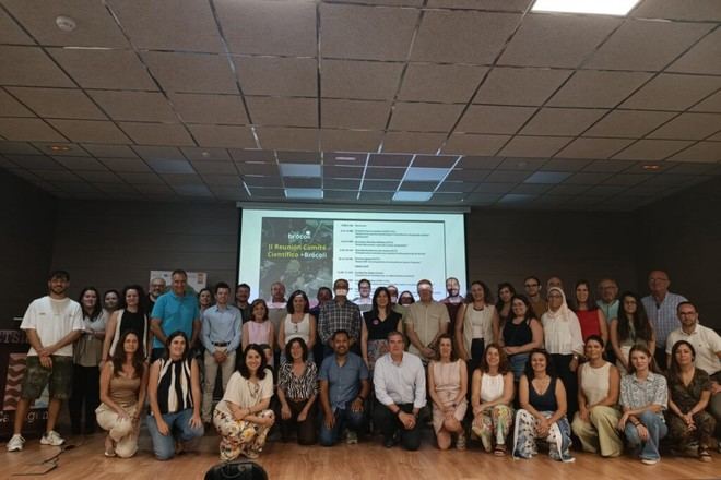 Nuevas técnicas para el cultivo y aprovechamiento del brócoli en la UPCT