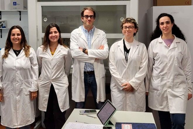 Mejora de la eficacia antimicrobiana de péptidos mediante nanopartículas de quitosano