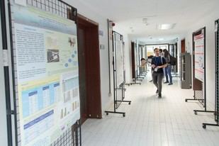 Premio a investigación del IUBO sobre actividad biológica contra el cáncer en Sevilla