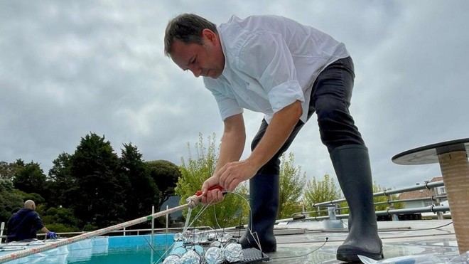 Estudio sobre el plancton marino y su influencia en el almacenamiento de CO? en los océanos