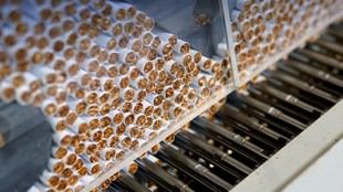 Desmantelan en Italia una de las mayores fábricas ilegales de cigarrillos en Europa