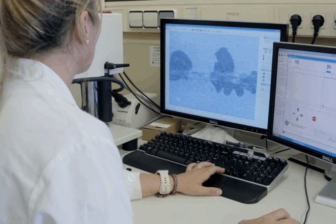 ITC -REDIT- lidera un proyecto europeo para mejorar la calidad del aire en puertos