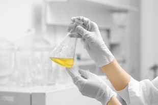 ITENE concluye proyectos innovadores para la creación de bioproductos sostenibles