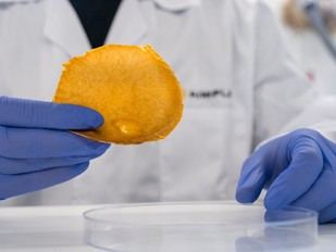 Ivace+i apoya la creación de piel vegana a partir de residuos orgánicos