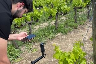 Premio "Douro + Sustentável" para proyecto innovador de la FCUP en viticultura