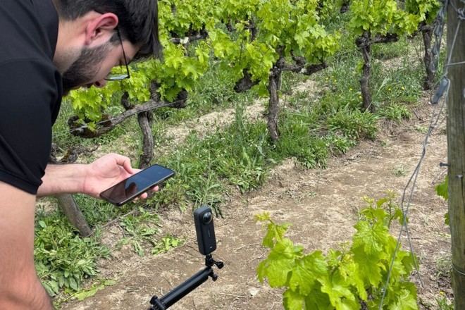 Premio 'Douro + Sustentável' para proyecto innovador de la FCUP en viticultura