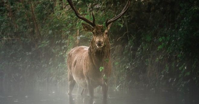 Exposición 'Wiki Loves Earth 2024' en el Jardín Botánico de la U.Porto