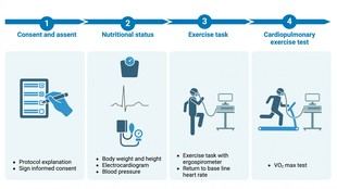 Estudio revela deficiencias en la condición física de niños chilenos