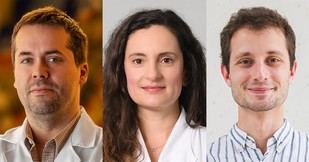 Premiados jóvenes médicos de la U.Porto con becas de doctorado 2025