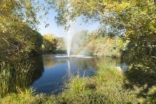 Ciudades más verdes, mejor adaptación al calor extremo