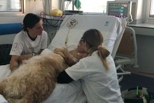 Décimo aniversario de la Cátedra Animales y Sociedad en la URJC