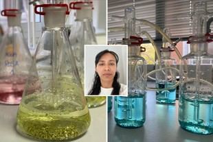 Premian un TFM que analiza el impacto de plásticos en aguas residuales tras el Carnaval