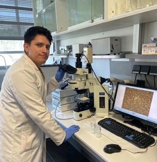 Universidad de Huelva desarrolla un fluido innovador para almacenar energía solar y mejorar la eficiencia energética