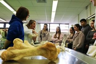La Universidad de León impulsa vocaciones STEM en niñas y jóvenes por el Día de la Mujer y la Niña en la Ciencia