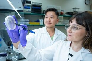 La colaboración entre universidades y hospitales se intensifica en crisis sanitarias