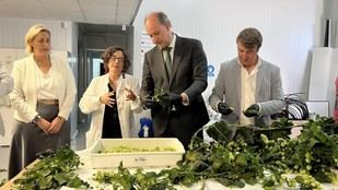 La Comunidad de Madrid apoya a 89 pymes en el uso de Inteligencia Artificial