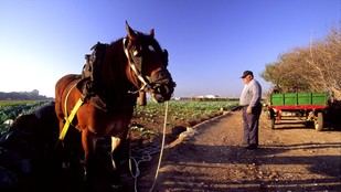 El Ayuntamiento de València destina 528.000 euros en ayudas a emprendedores