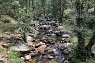 La Universidad de Barcelona y la URJC advierten sobre el riesgo climático para los microbios en ríos