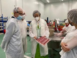 La Diputación de Palencia lanza ayudas por 1,3 millones para el desarrollo empresarial rural