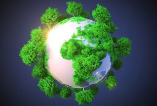 Repensar la economía circular: más allá del reciclaje