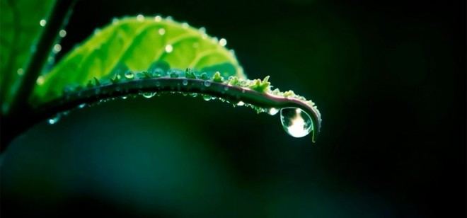 I Congreso sobre Hidrógeno Renovable en la ETSIA de Algeciras