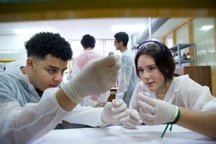 La Facultad de Ciencias de la UA recibe a más de 1.400 estudiantes de ESO y Bachillerato