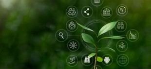 Mondragon Unibertsitatea lidera un proyecto europeo para fomentar alianzas sostenibles en pymes