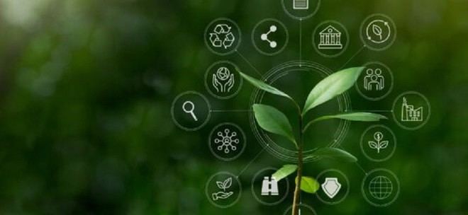 Mondragon Unibertsitatea lidera un proyecto europeo para fomentar alianzas sostenibles en pymes