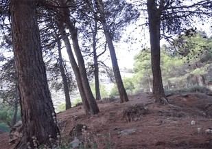 Visita de la fiscal de Derechos Humanos al Barranco de Víznar