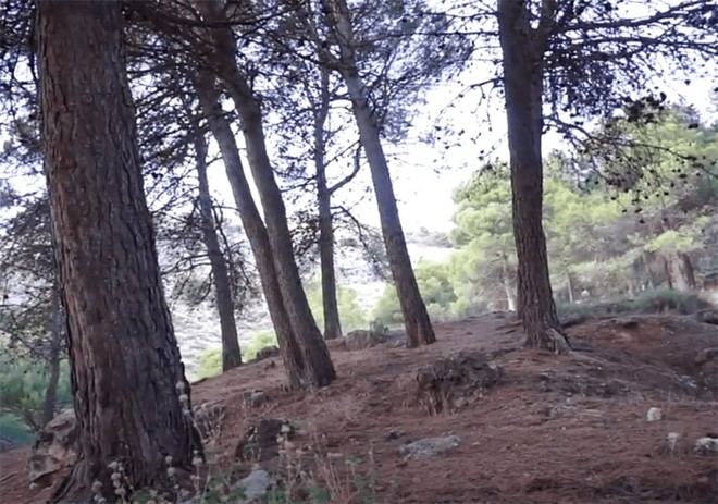 Visita de la fiscal de Derechos Humanos al Barranco de Víznar