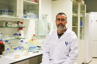 Investigación conjunta entre la Fundación Gates y universidades para combatir la anemia