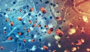 Investigación oncológica en la Universidad Loyola: avances en prevención y diagnóstico