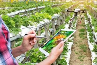 La Junta extiende el plazo para solicitar ayudas a clústeres de innovación y centros tecnológicos hasta el 30 de septiembre