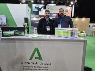 La Junta apoya a más de 14.000 emprendedores y crea casi 13.000 empresas en Andalucía