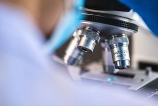La Junta de Andalucía destina 22 millones para contratar a 299 jóvenes en I+D+I