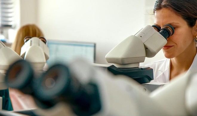 La Junta de Andalucía incorpora 21 nuevos investigadores posdoctorales con una inversión de 2,8 millones