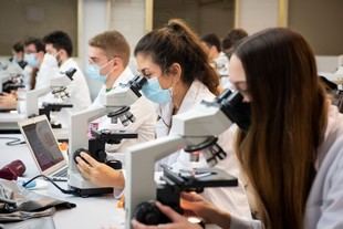 La Junta de Andalucía incorpora 21 investigadores posdoctorales con una inversión de 2,8 millones de euros