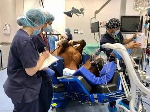 Disminuye la mortalidad anestésica en caballos a nivel global