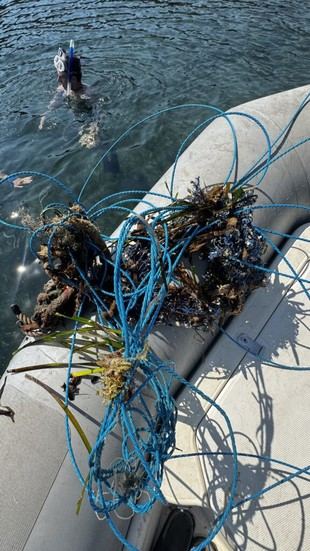 Nuevo proyecto MarPITIUS_26 para estudiar la contaminación marina en Eivissa